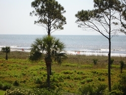 Sitting Inside the condo or rocking in the swivel chairs on the deck you enjoy the ocean view.